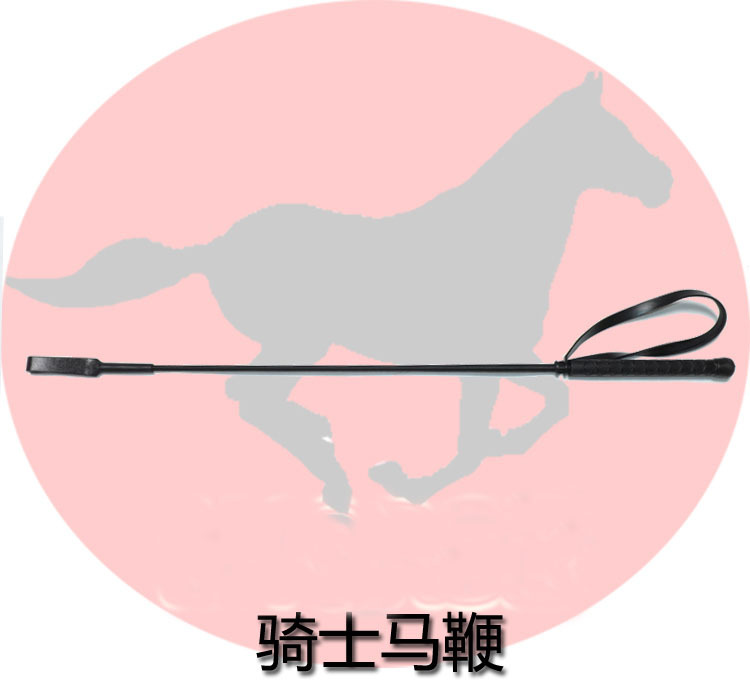 65 cm   horsewhip   ¸ ۹ ¸ ǰ  